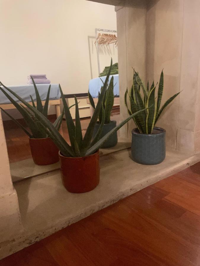 Loma-asunnot Loft Ponte Pietra