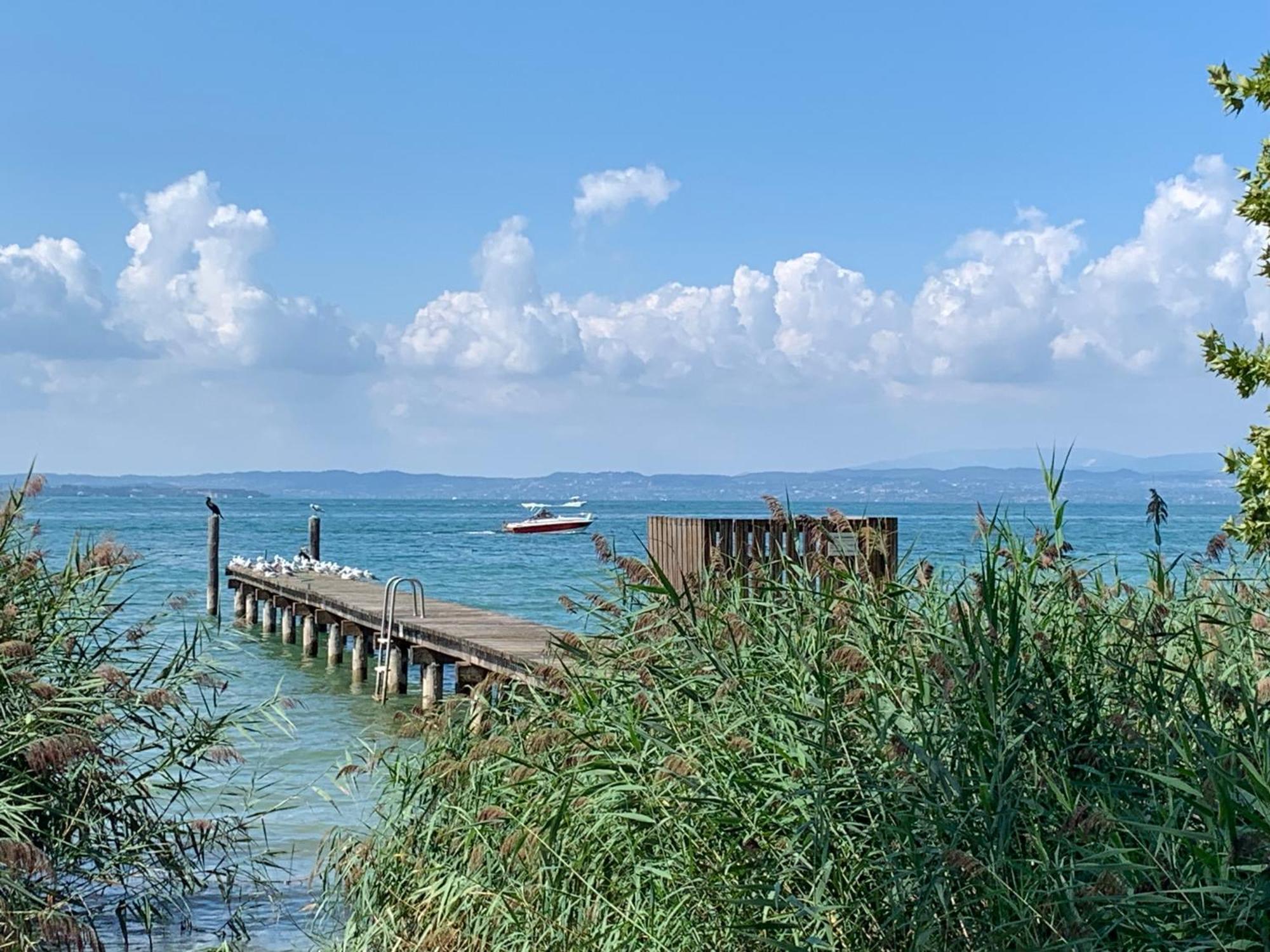 Elegant Relax Near Veron Center Fair Garda Huoneisto Verona