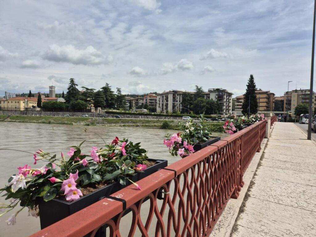 Appartamento Catena Bridge House *