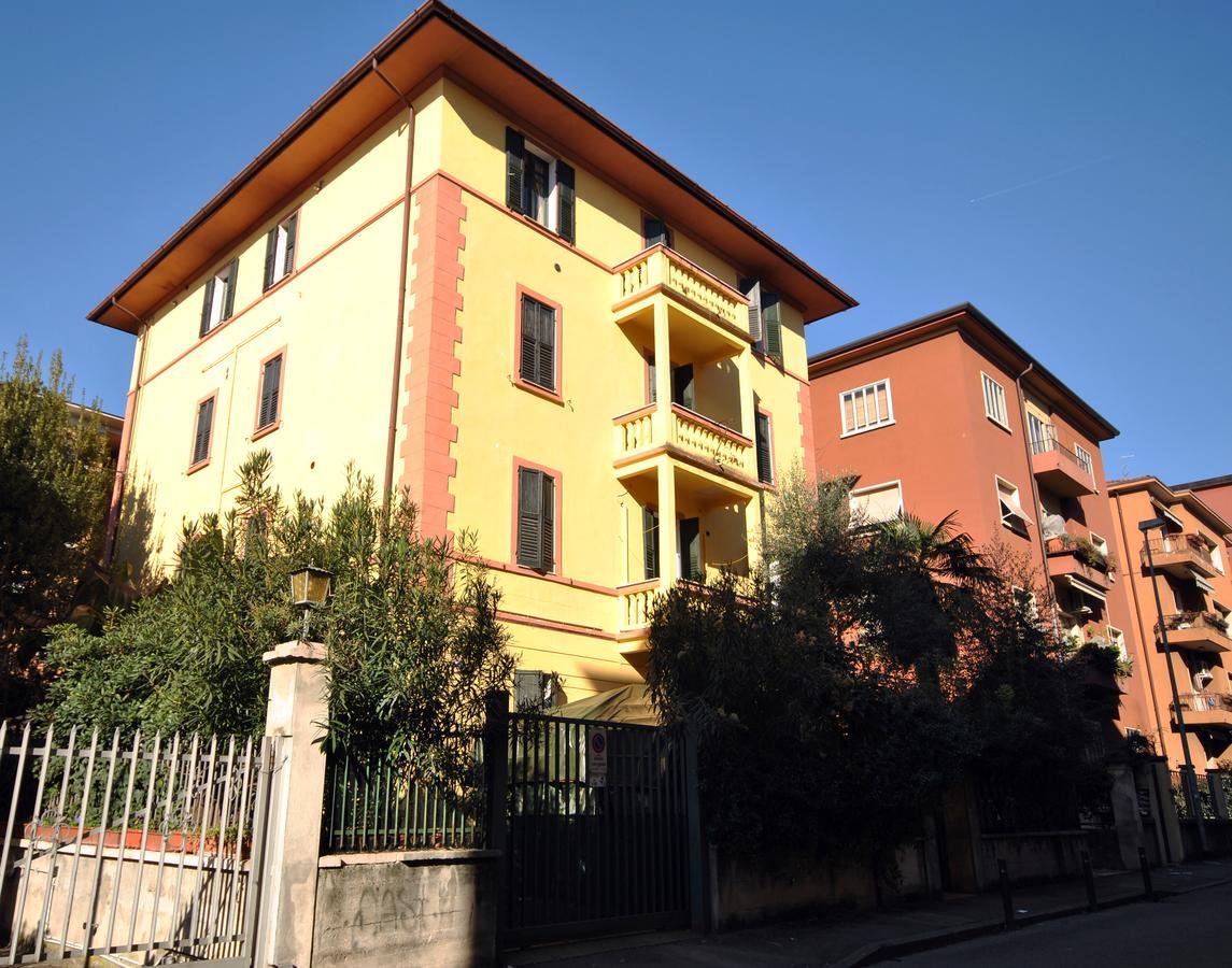 Grand Lori *