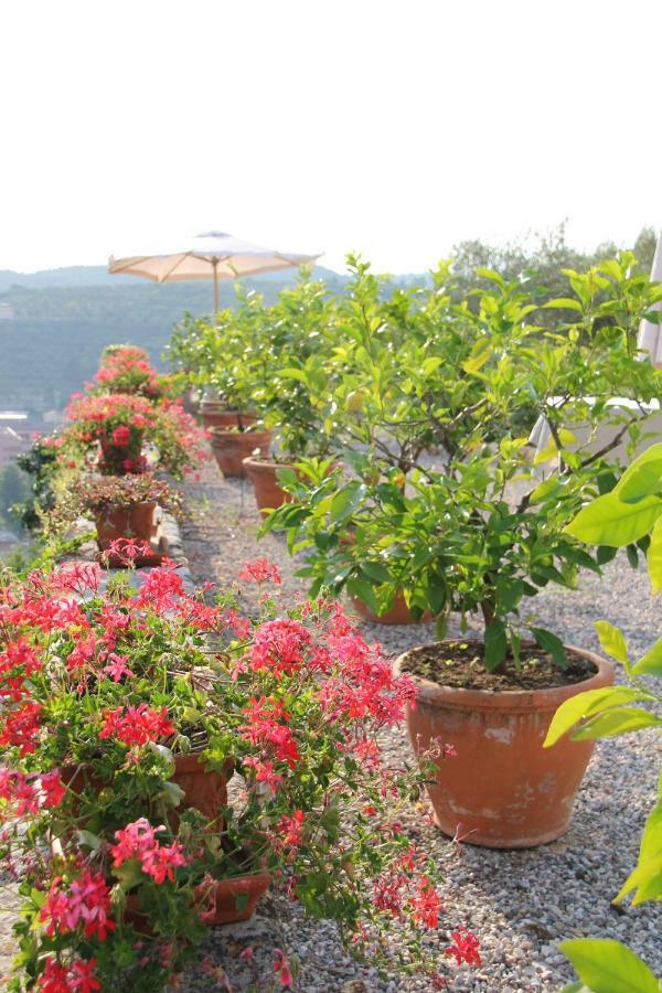 Relais Ambrosetti