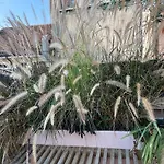 La Terrazza Sull\'Arena