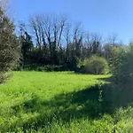 Green Woods