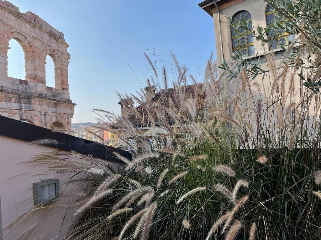 La Terrazza Sull'arena Verona