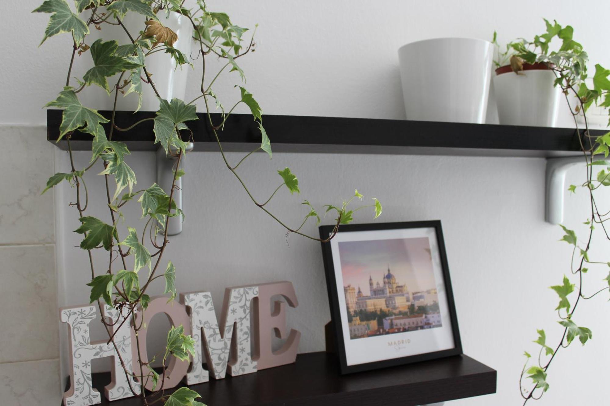 Appartement Residenza Piazza Erbe Verona