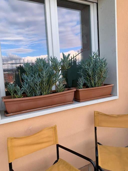Arte & Panorama Apartment *