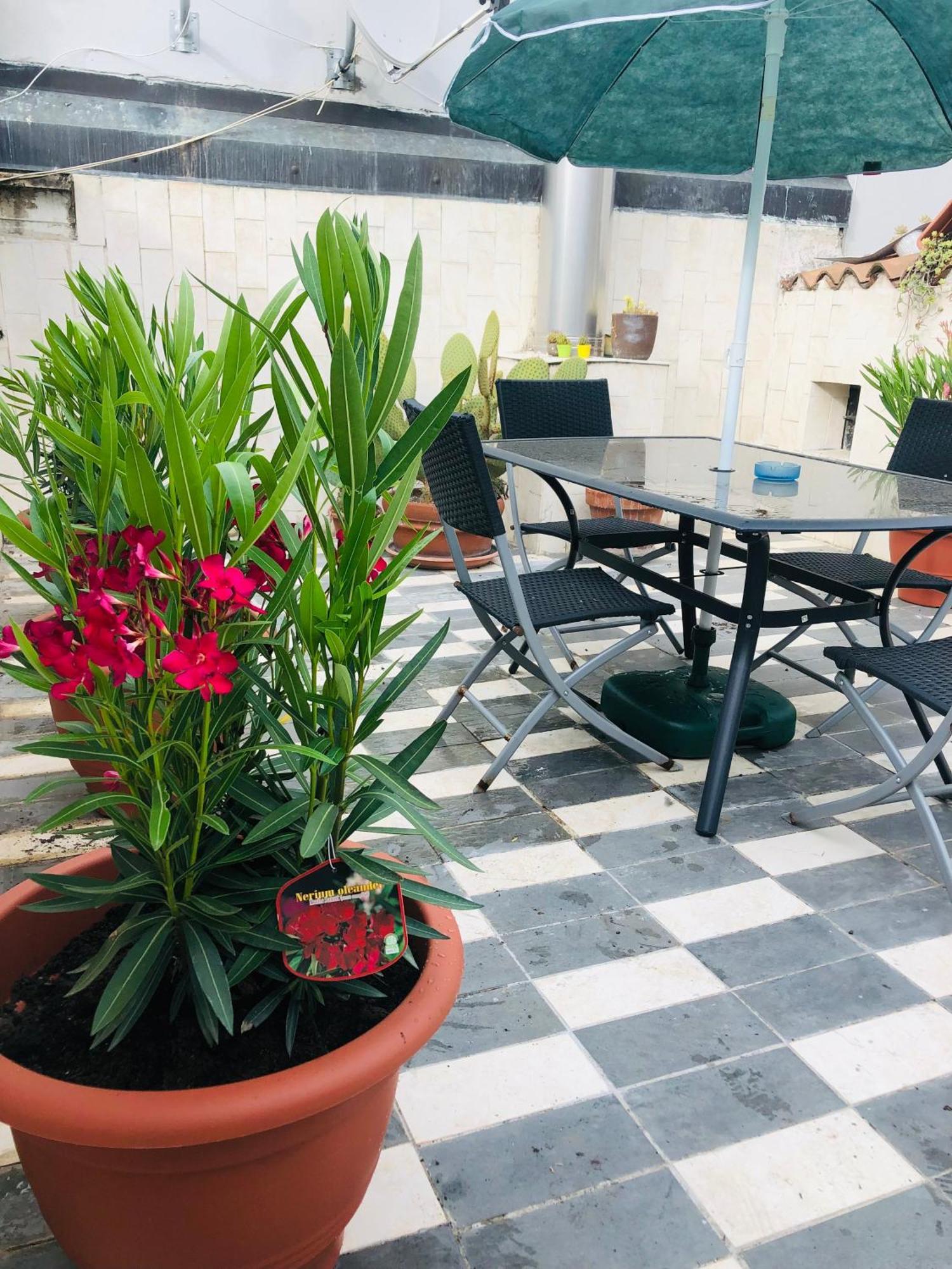 La Terrazza Di Aida, Con Terrazza Nel Centro Di Apartment *