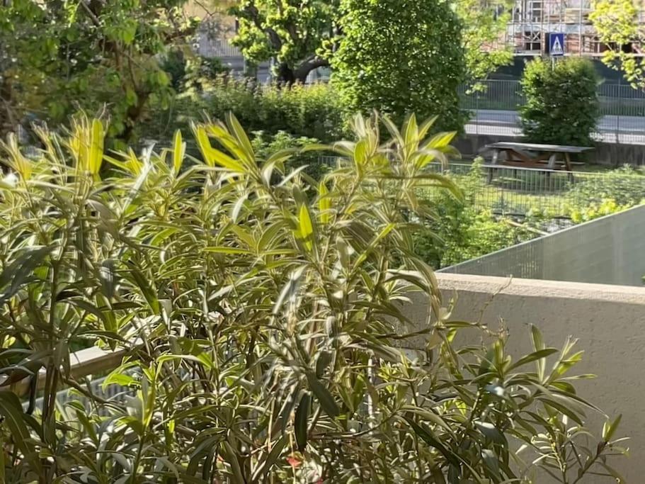 Apartment Elegant Relax Near Veron Center Fair Garda Verona