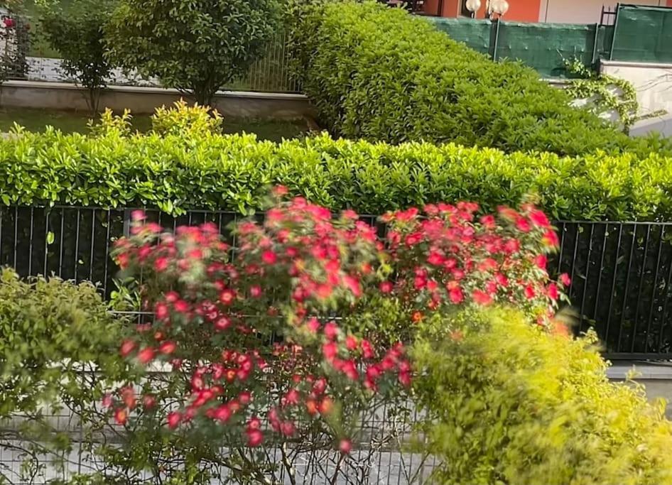 Elegant Relax Near Veron Center Fair Garda