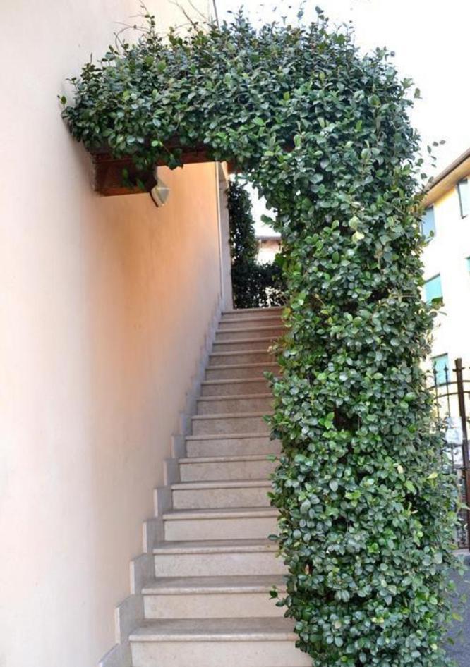 Alloggio La Pesa