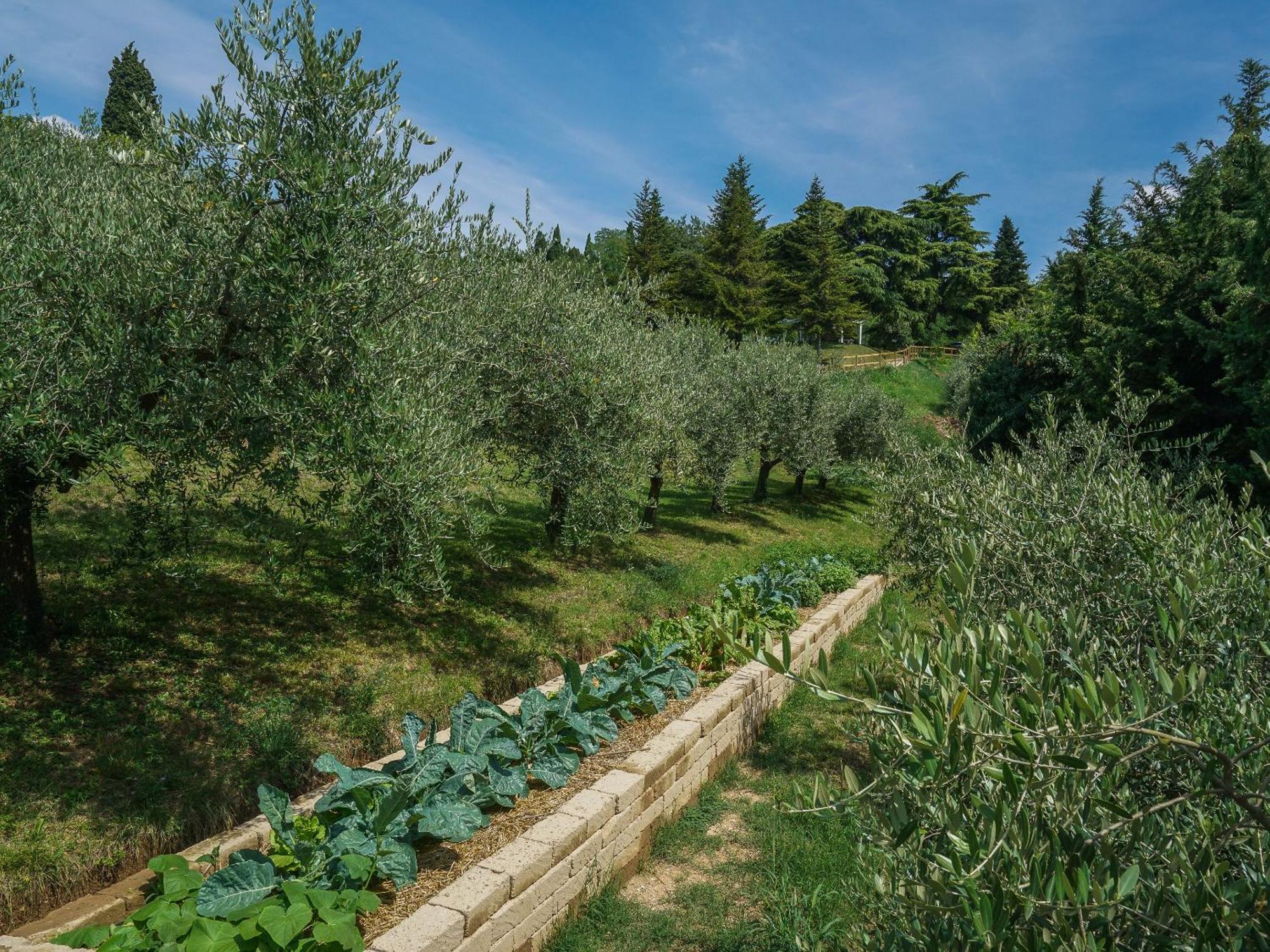 Hotelli Ca Toresele Relais Osteria Garden 3*