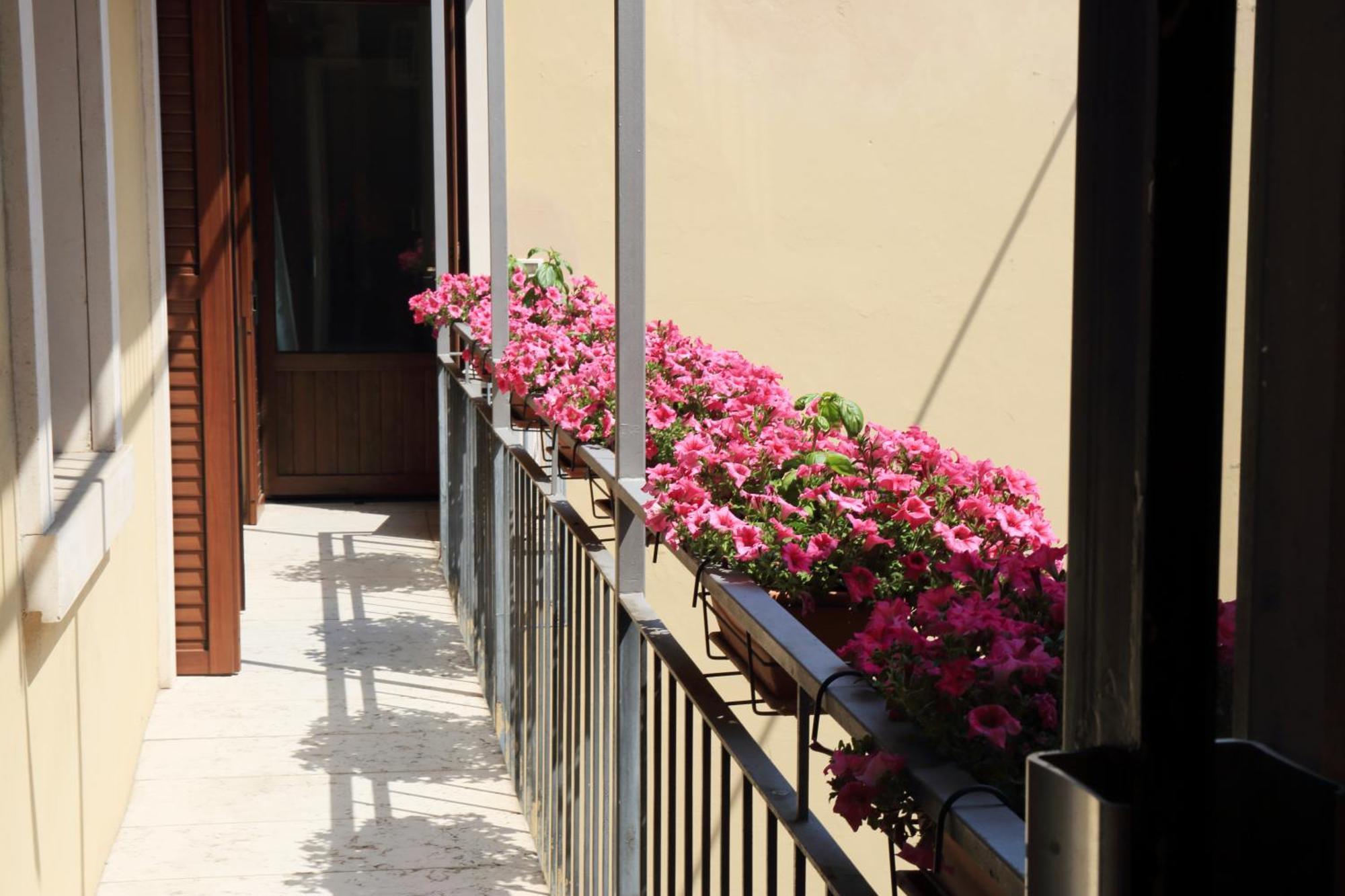 Museo Apartment