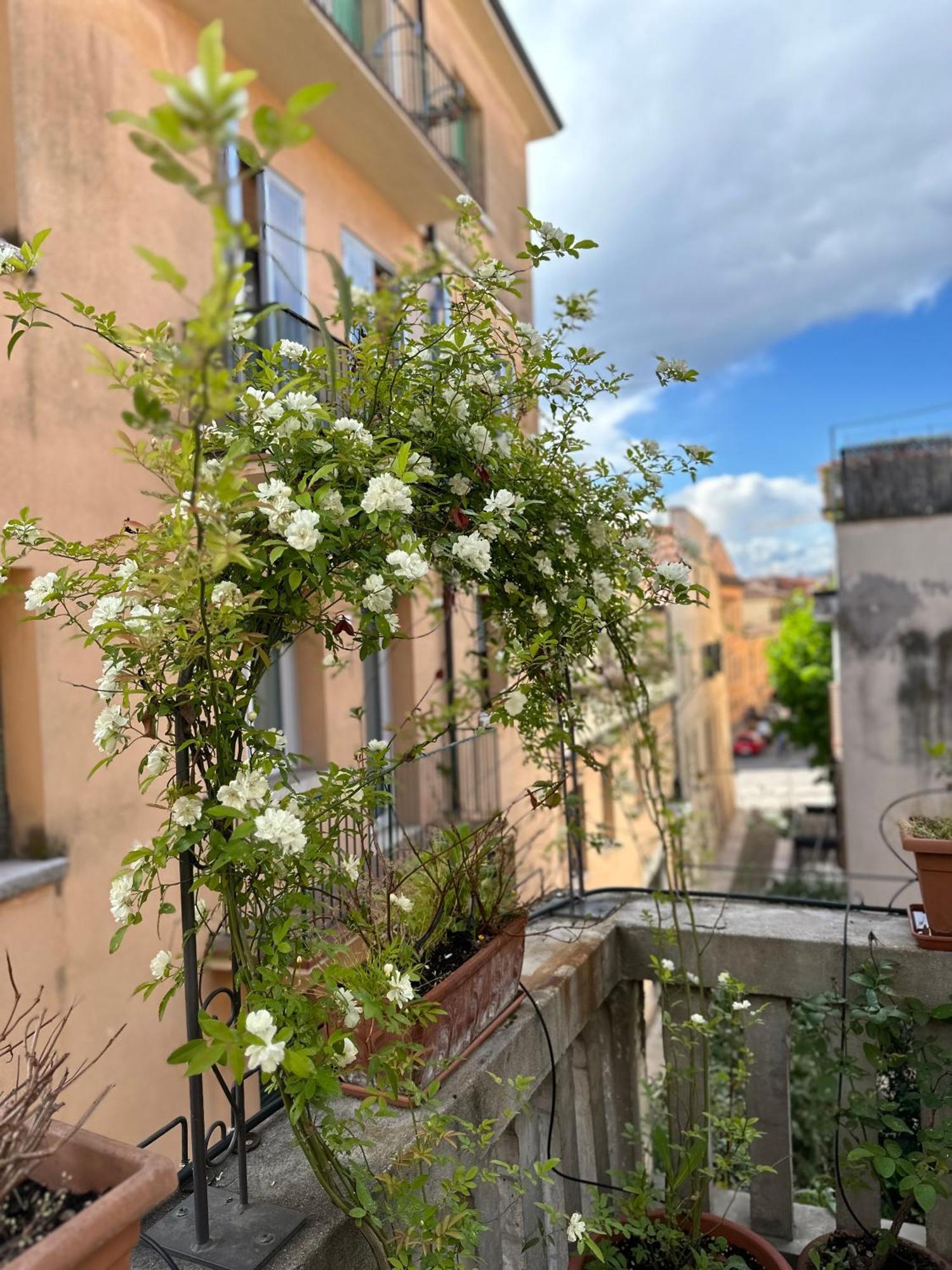 Il Nido Di Emma A Apartamento