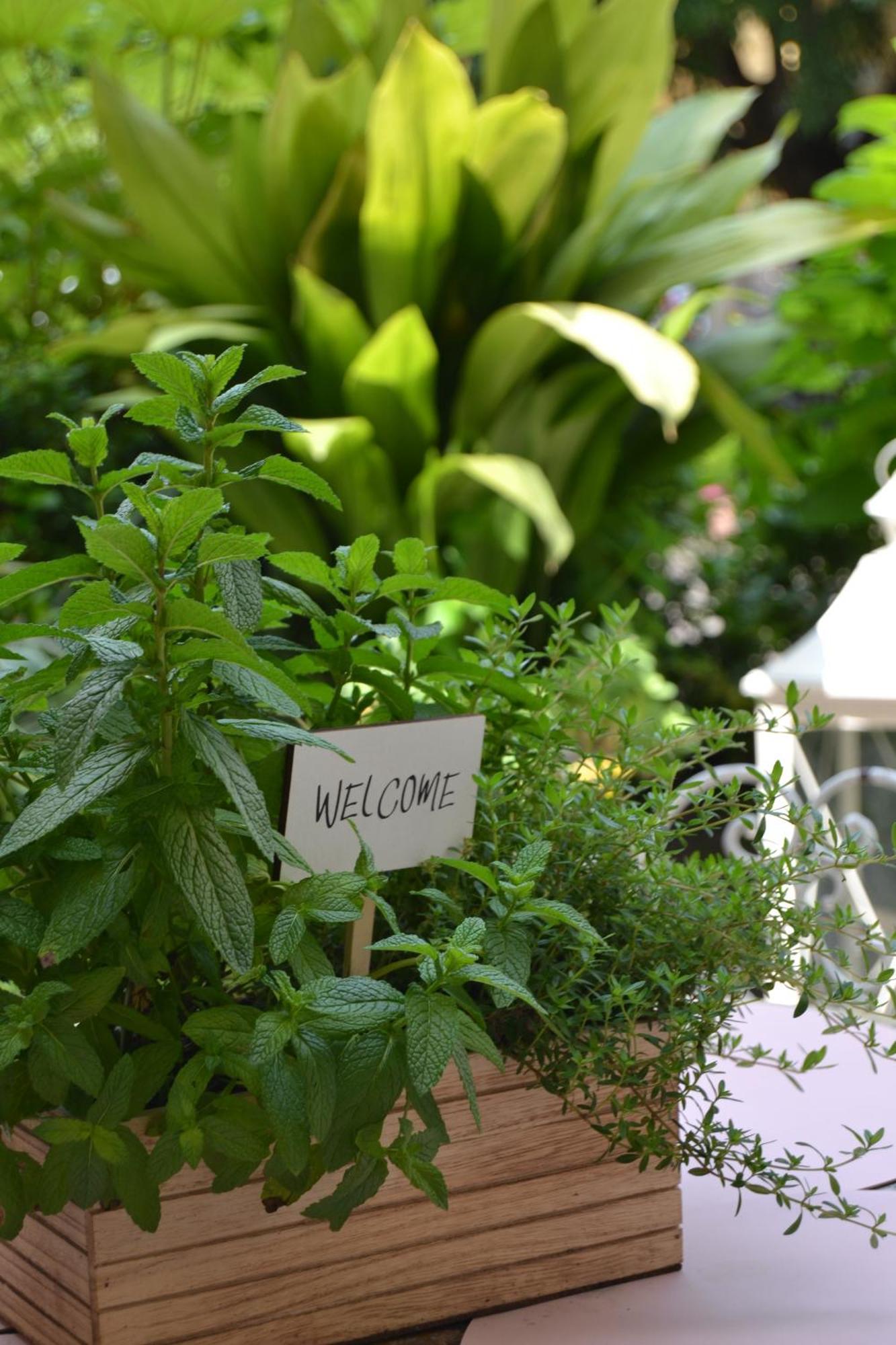 Dolce Santo Stefano Apartment *