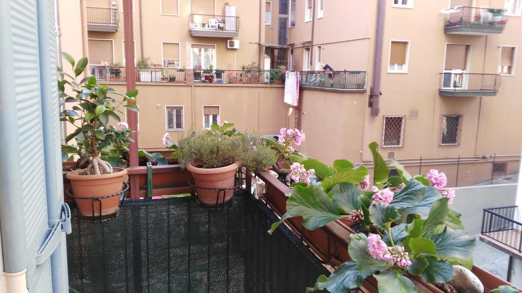 Locazione Turistica Sole 3*