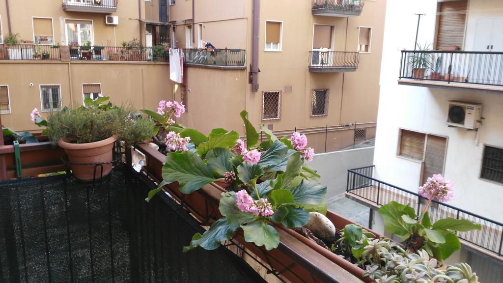 Locazione Turistica Sole 3*