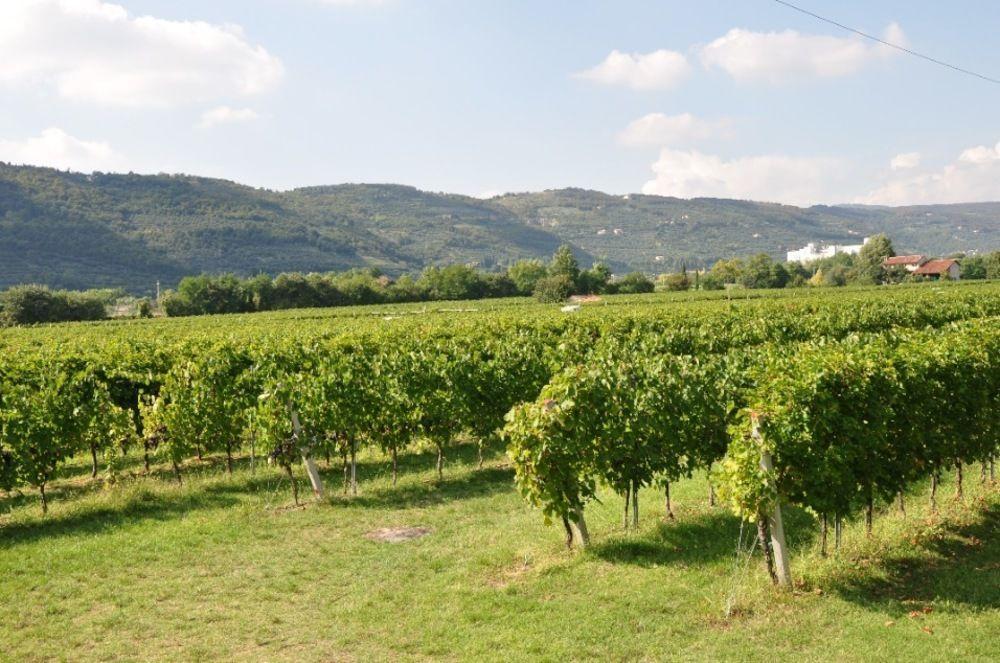 Corte Moranda Vakantieboerderij Verona