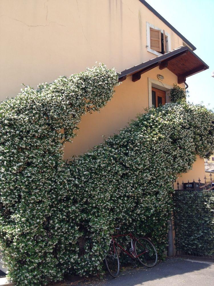 Alloggio La Pesa Bed & Breakfast