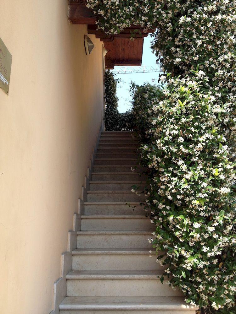Alloggio La Pesa Bed & Breakfast