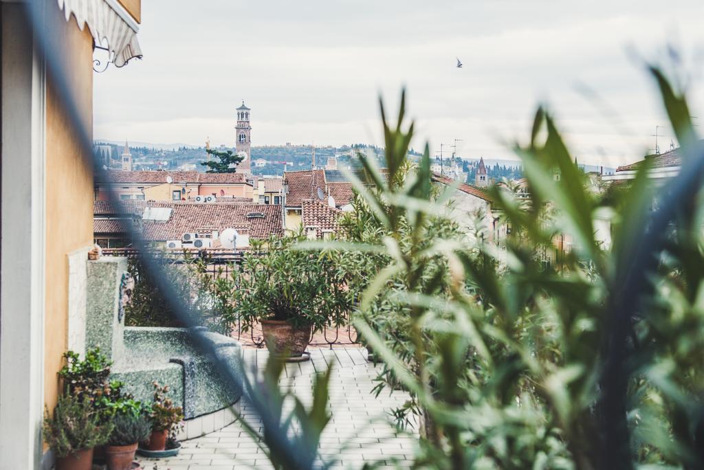 Terrazza *