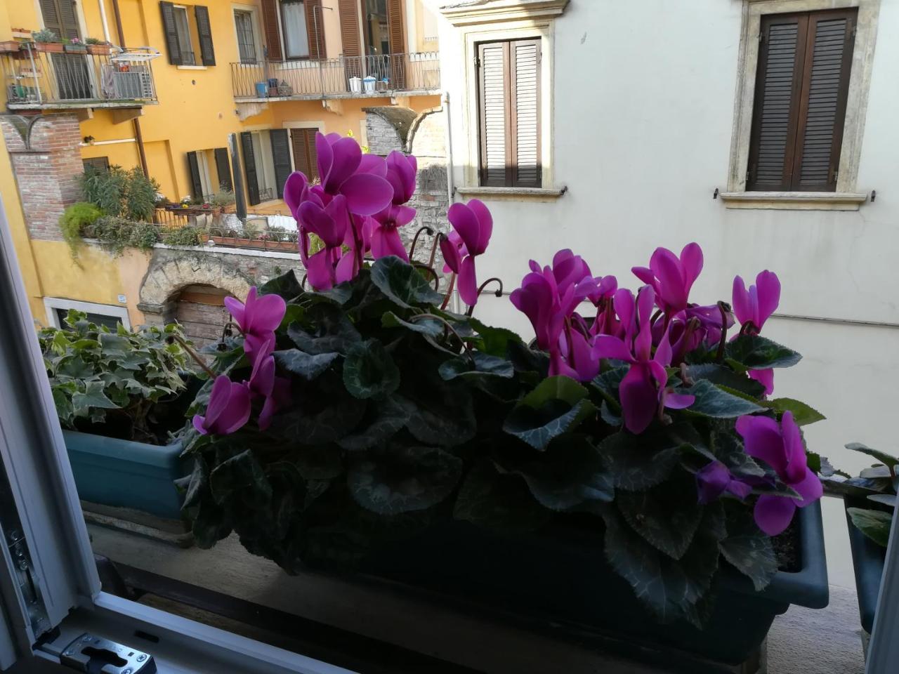 A Casa Di Luca Guest house *