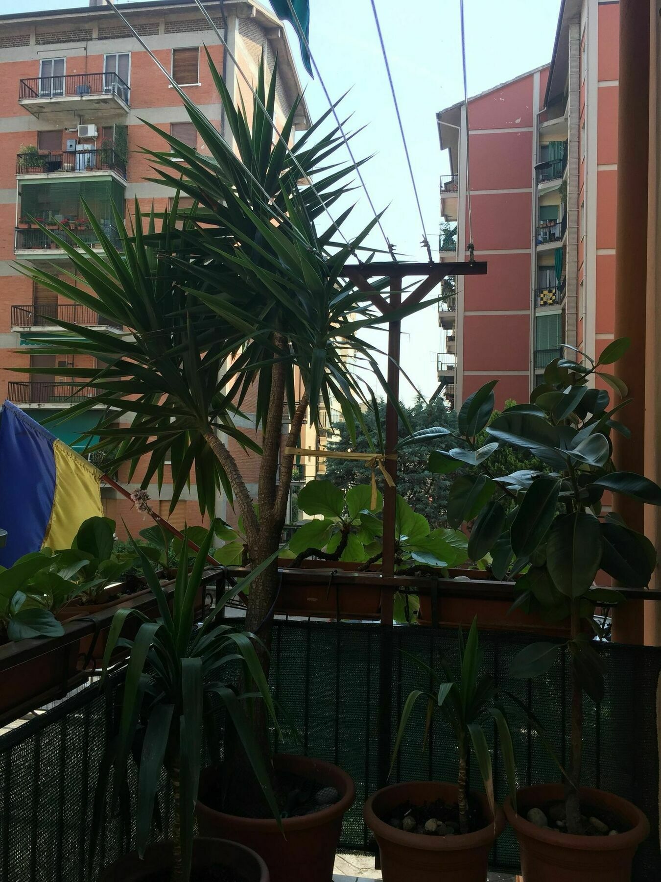 Locazione Turistica Sole Gasthuis