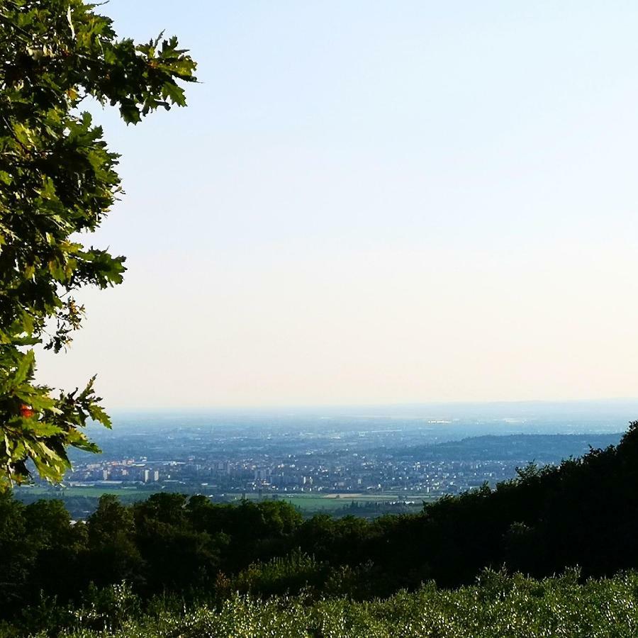 Bosco Magico Ở trang trại Verona