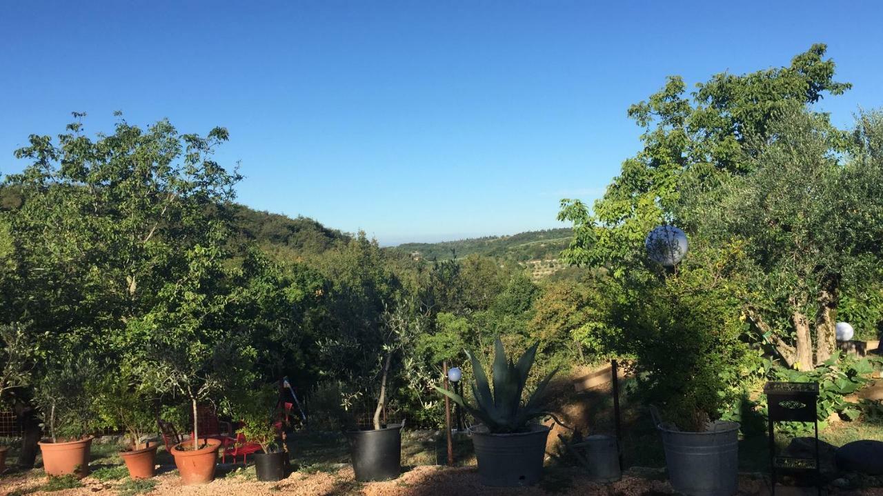 Agriturismo Macole Fattoria Con Spuntini Alloggio per agriturismo *