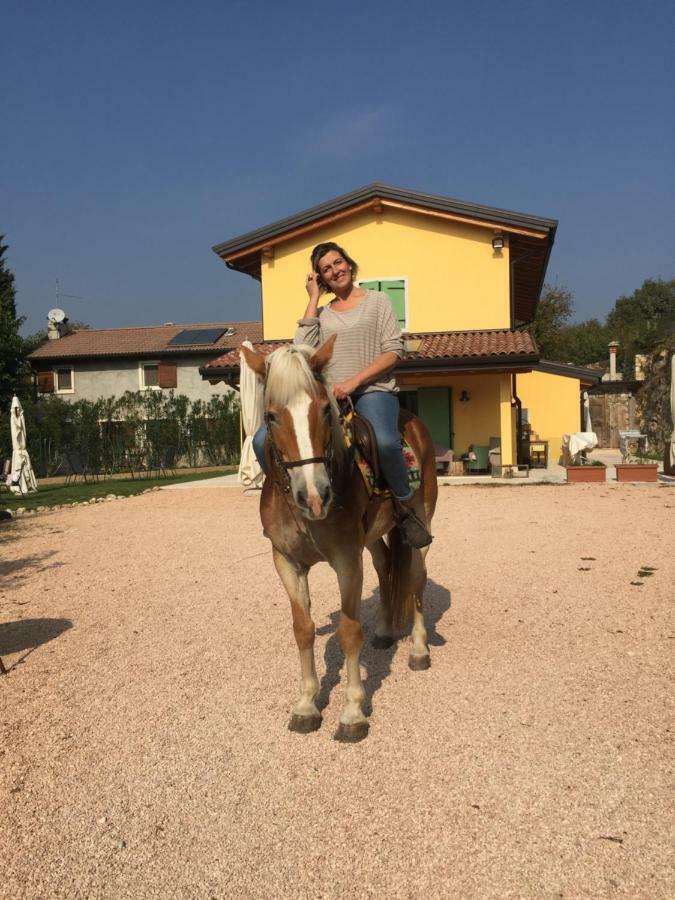 Agriturismo Macole Fattoria Con Spuntini Alloggio per agriturismo