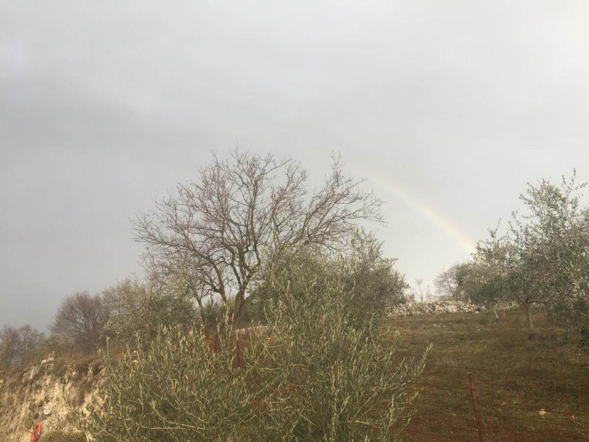Alloggio per agriturismo Agriturismo Macole Fattoria Con Spuntini Verona