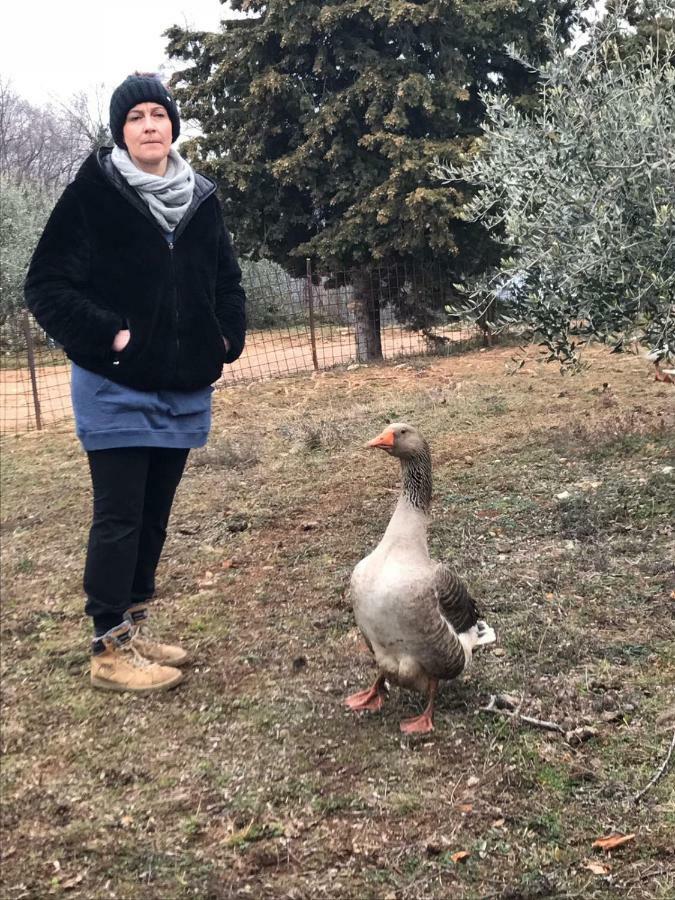 Agriturismo Macole Fattoria Con Spuntini