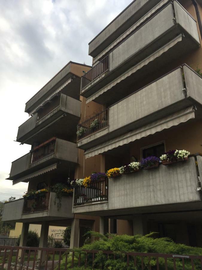 Guest house Roof Pellegrini *