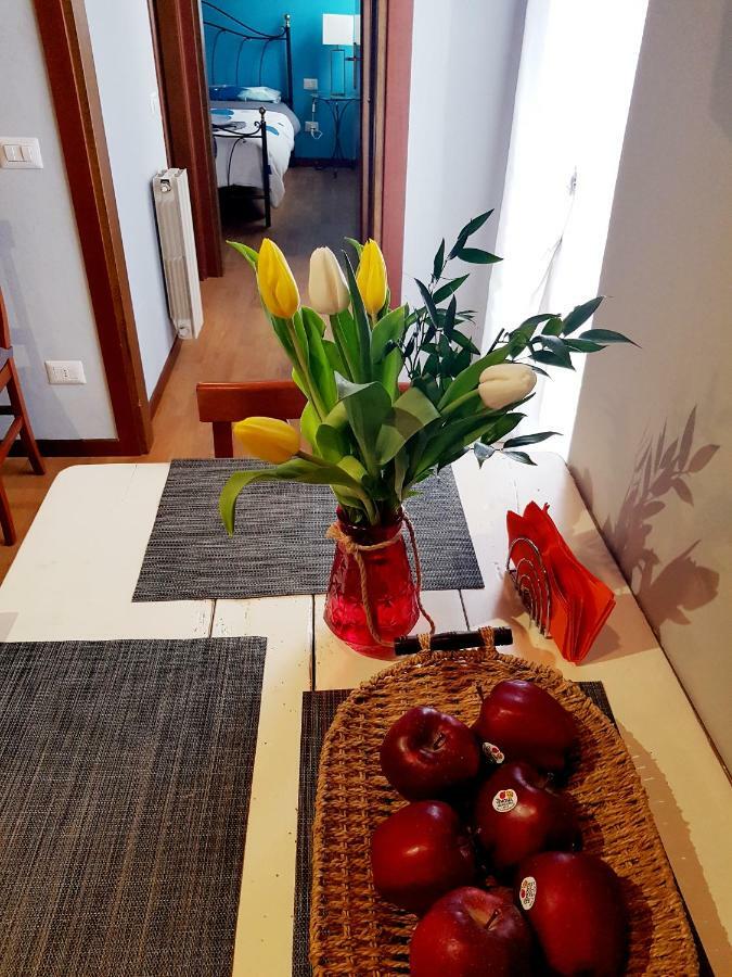 Apartment Garden Of Eden - In