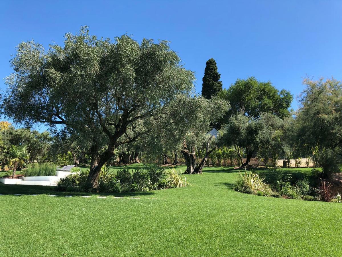 Il Bacio Del Sole Apartamento *