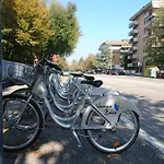 Lamoka Verona