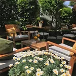 B&B Magnolia