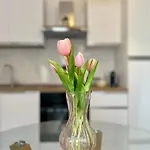 Perla Apartment Verona