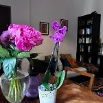 Golden Suite Apartment Verona