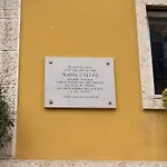 Leoncino 14