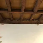 Angel\'S Home