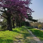 Divina San Zeno