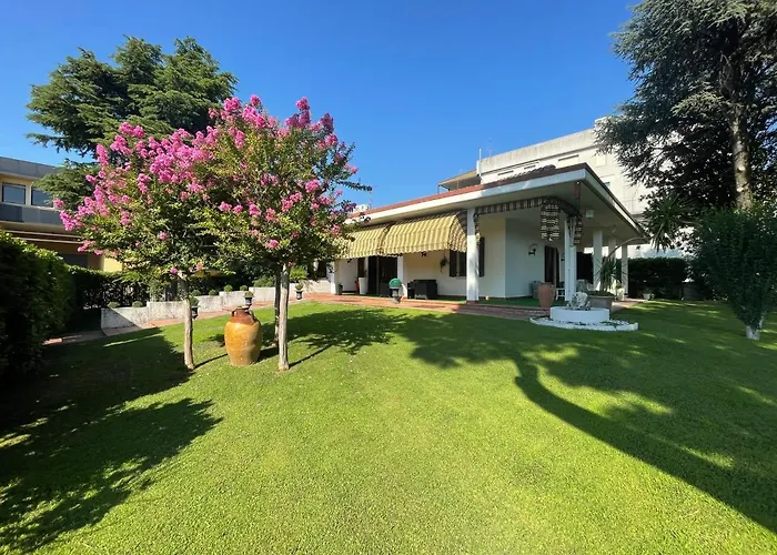 Vitti\'s Home Verona