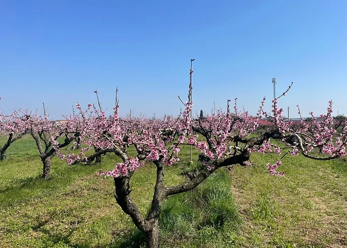 Agriturismo Corte Vecia Alloggio Della Corte