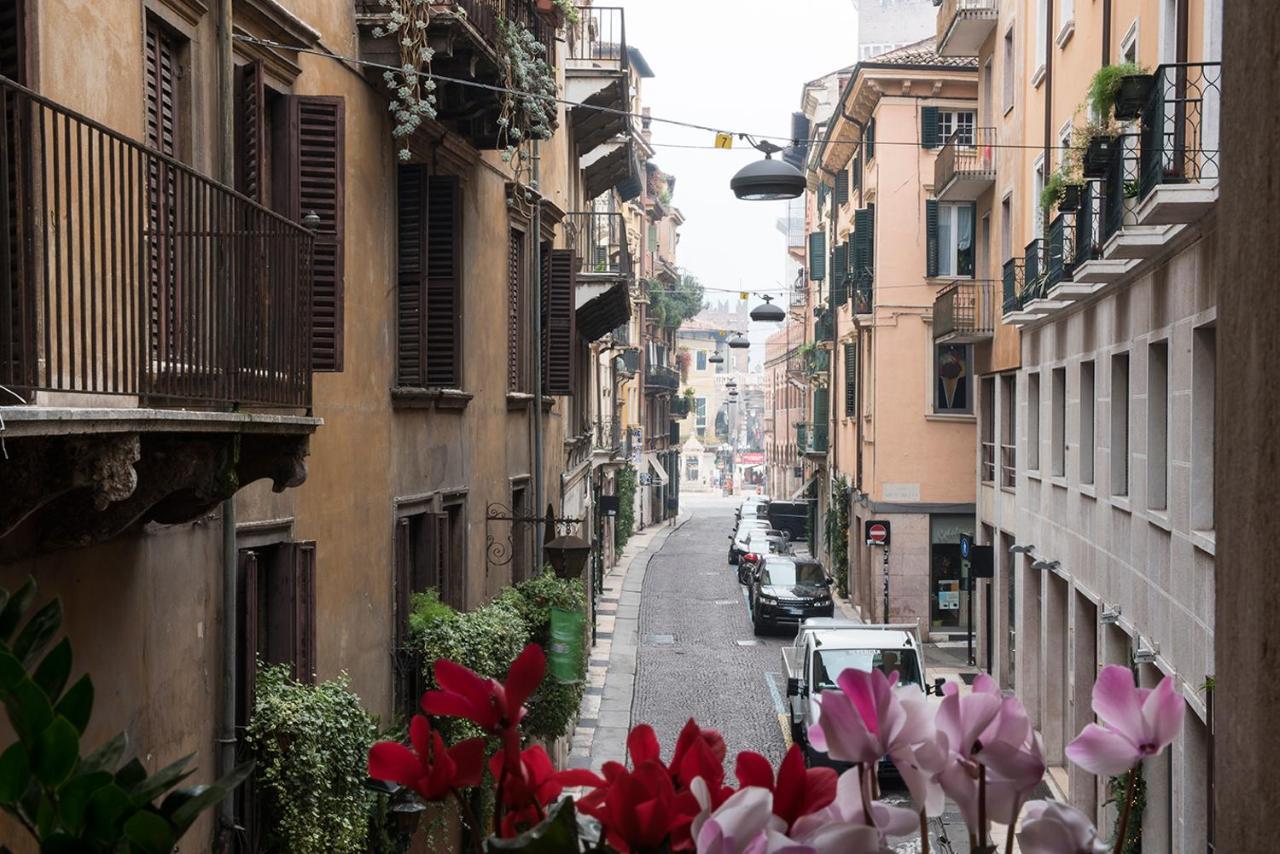 Velluto Blu & Apartment Verona