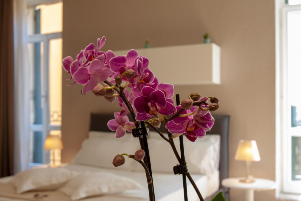 Appartement Domus *