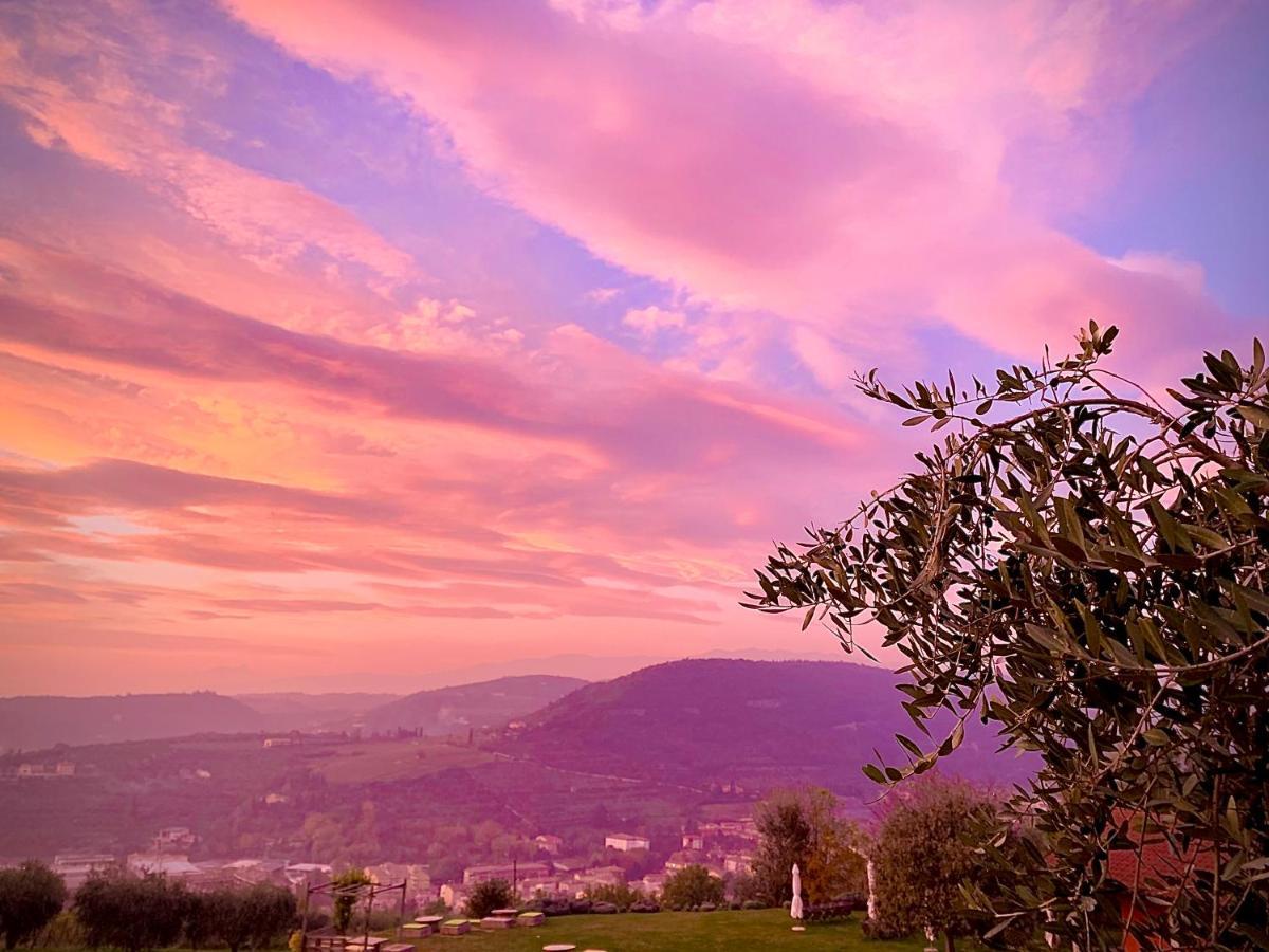 Farm stay Il Pianetto