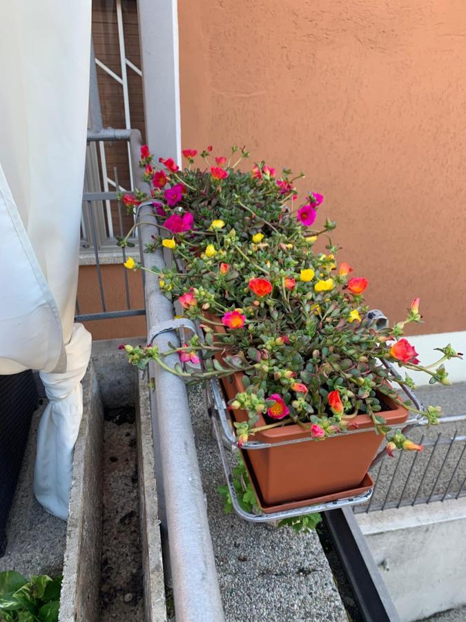 Guest house New Business And Fun G B Rossi Friendly *