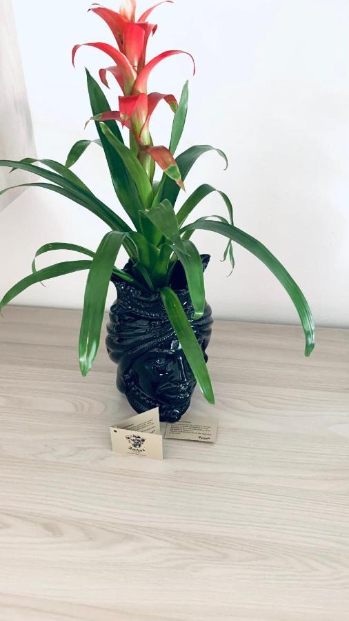 Apartment Stadia *