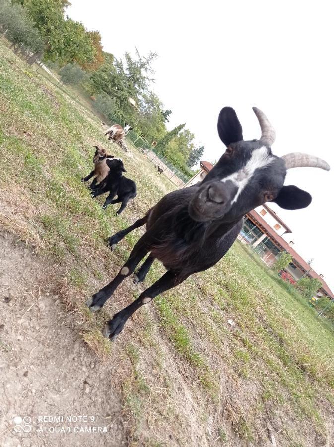 Vakantieboerderij Corte Maccini