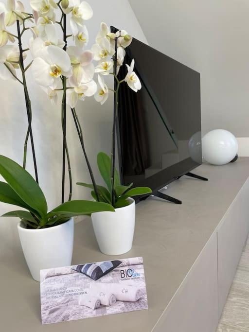 Appartement Queen Luxury